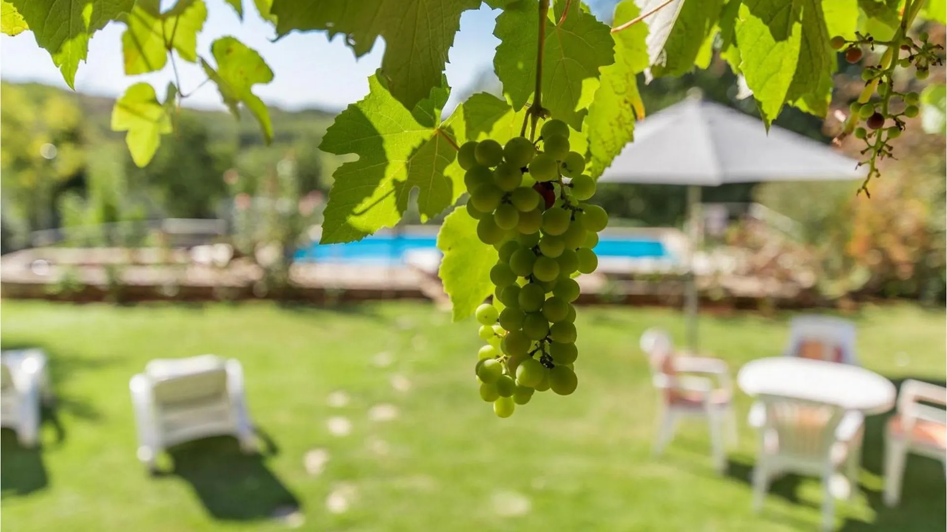 Hébergement de vacances Villa Giselle Vižinada